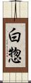 白惣 Scroll
