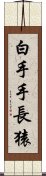 白手手長猿 Scroll