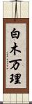 白木万理 Scroll