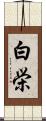 白栄 Scroll
