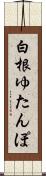白根ゆたんぽ Scroll