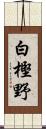 白樫野 Scroll