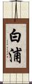白浦 Scroll