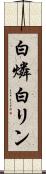 白燐 Scroll