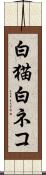 白猫 Scroll