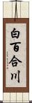 白百合川 Scroll