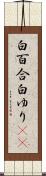 白百合 Scroll