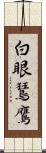 白眼鵟鷹 Scroll