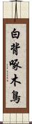 白背啄木鳥 Scroll