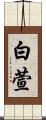 白萱 Scroll