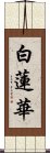 白蓮華 Scroll