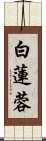 白蓮蓉 Scroll