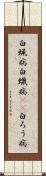 白蝋病 Scroll