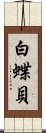 白蝶貝 Scroll