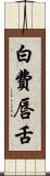 白費唇舌 Scroll
