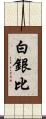 白銀比 Scroll