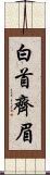白首齊眉 Scroll