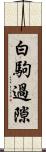 白駒過隙 Scroll