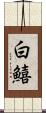 白鱚 Scroll