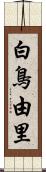 白鳥由里 Scroll