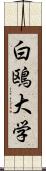 白鴎大学 Scroll