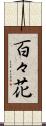 百々花 Scroll