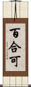 百合可 Scroll