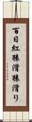百日紅 Scroll