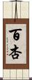 百杏 Scroll