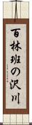 百林班の沢川 Scroll