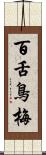 百舌鳥梅 Scroll