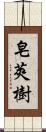 皂莢樹 Scroll