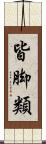 皆脚類 Scroll
