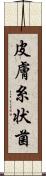 皮膚糸状菌 Scroll