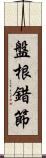 盤根錯節 Scroll