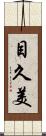 目久美 Scroll