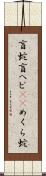 盲蛇 Scroll