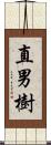 直男樹 Scroll