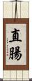 直腸 Scroll