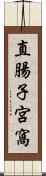 直腸子宮窩 Scroll