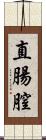 直腸膣 Scroll