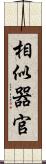 相似器官 Scroll