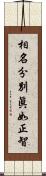 相名分別眞如正智 Scroll