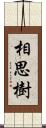 相思樹 Scroll