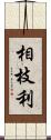 相枝利 Scroll