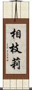 相枝莉 Scroll