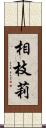 相枝莉 Scroll