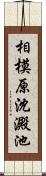 相模原沈澱池 Scroll