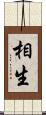 相生 Scroll