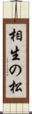 相生の松 Scroll